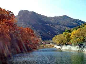 管家婆黑白马报图库，现代都市小说排行榜